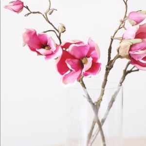 Meet your Posher, Kishana